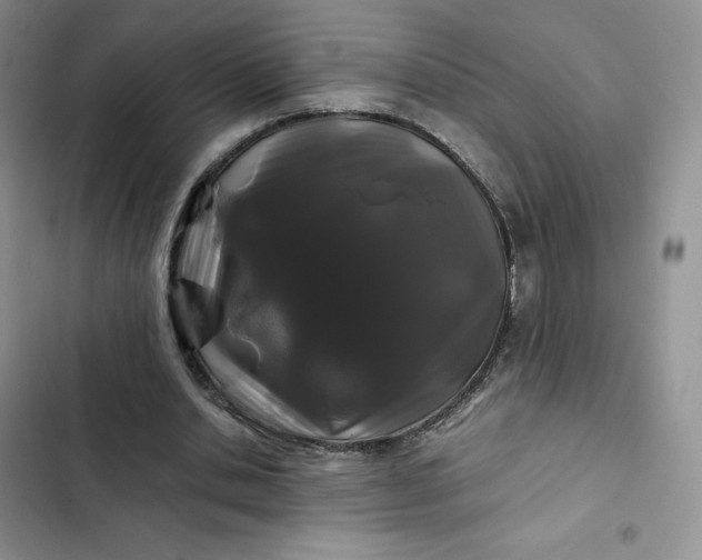 X0000102510438200808221821