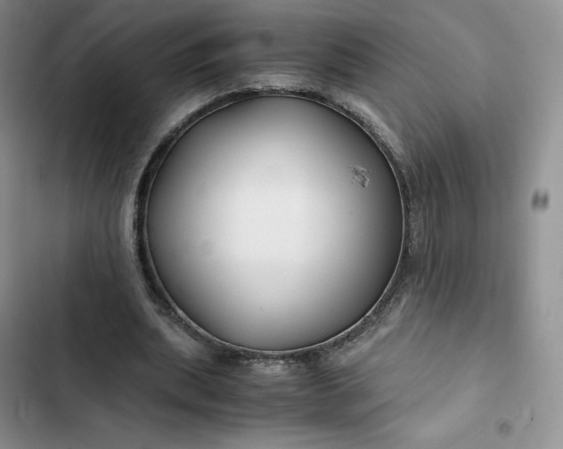 X0000102510439200808221821