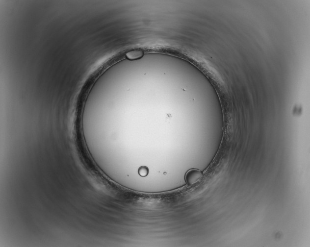X0000102510440200808221821