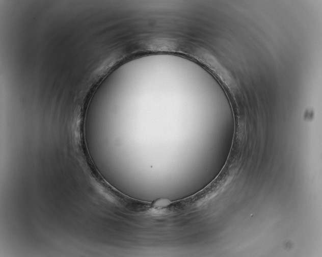 X0000102510441200808221821