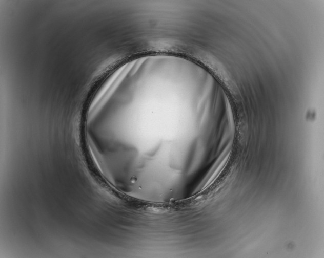 X0000102510442200808221821