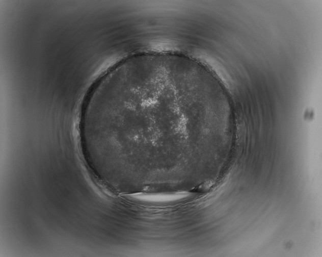 X0000102510443200808221821