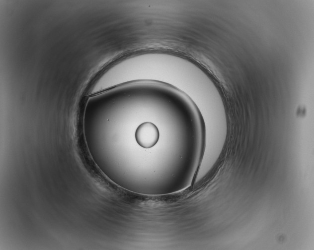X0000102510444200808221821