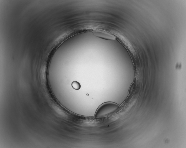 X0000102510445200808221821