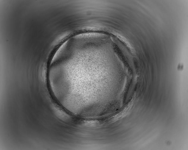 X0000102510446200808221821