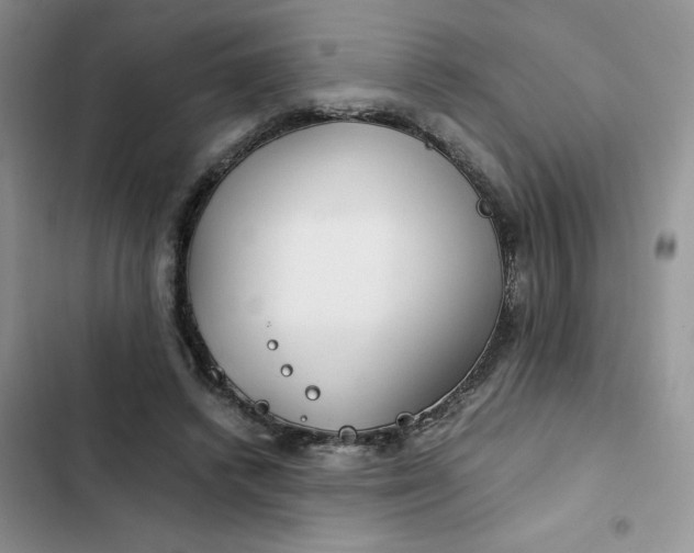 X0000102510448200808221821