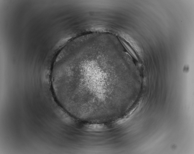 X0000102510449200808221821