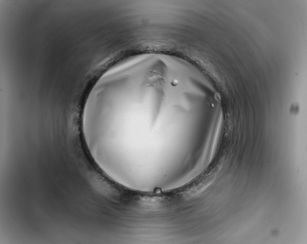 X0000102510450200808221821