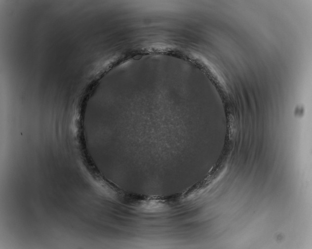 X0000102510451200808221821