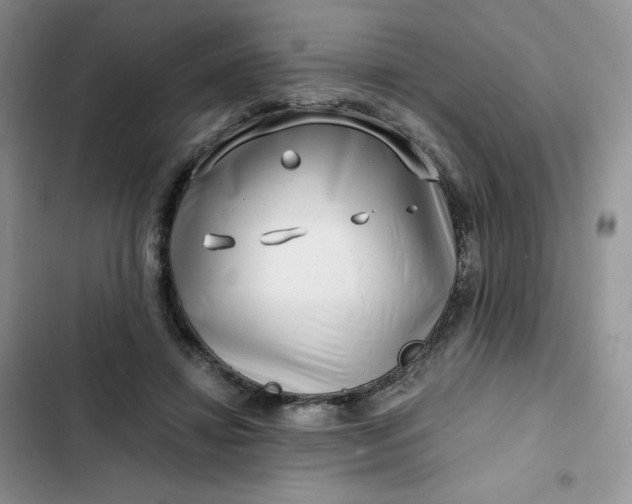 X0000102510452200808221821