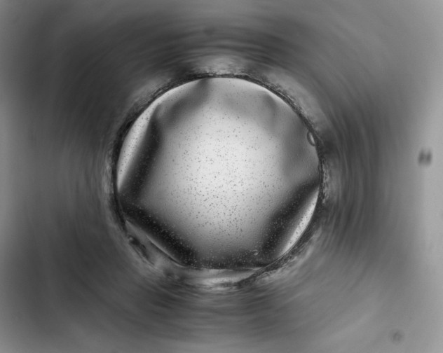 X0000102510453200808221821