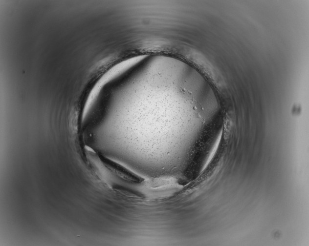 X0000102510454200808221821
