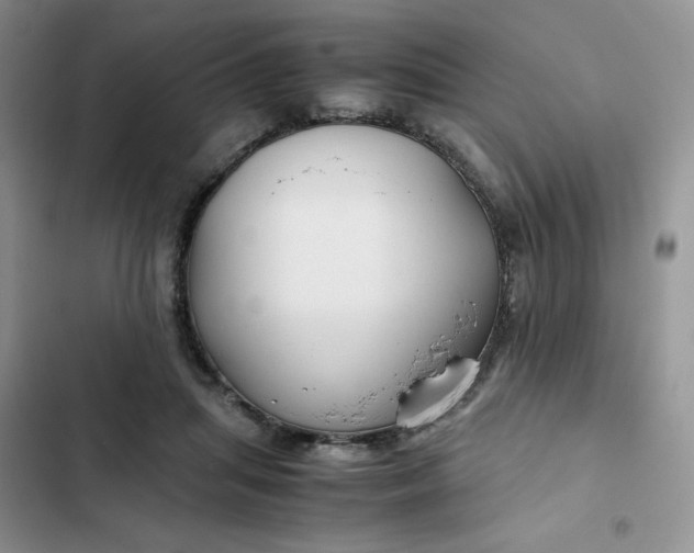 X0000102510455200808221821