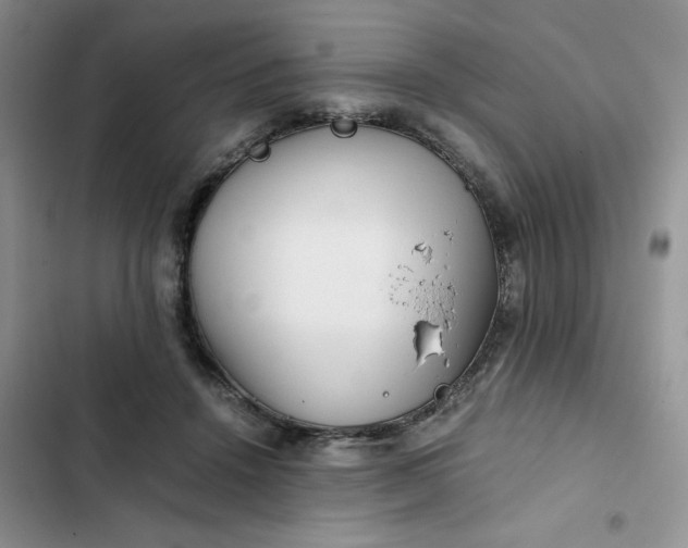 X0000102510456200808221821