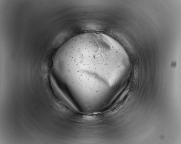 X0000102510457200808221821
