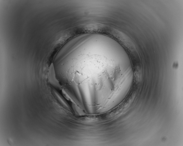 X0000102510458200808221821