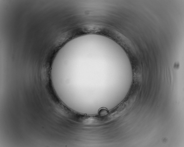 X0000102510460200808221821