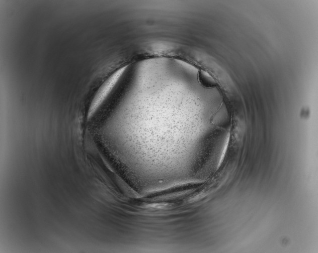 X0000102510461200808221821