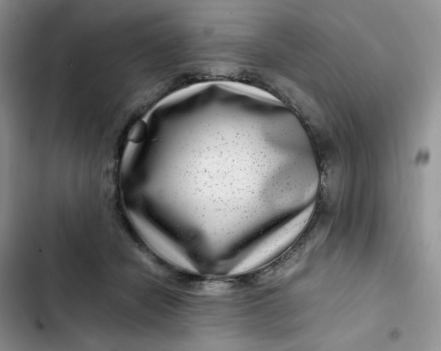X0000102510462200808221821