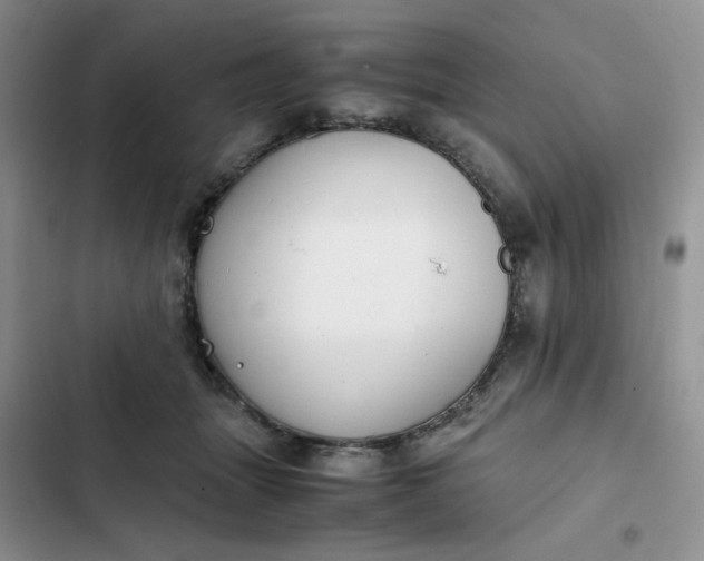 X0000102510463200808221821