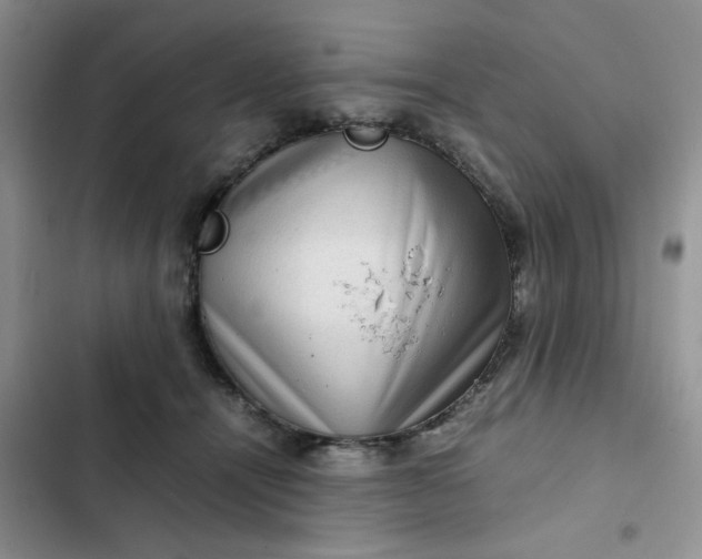 X0000102510464200808221821