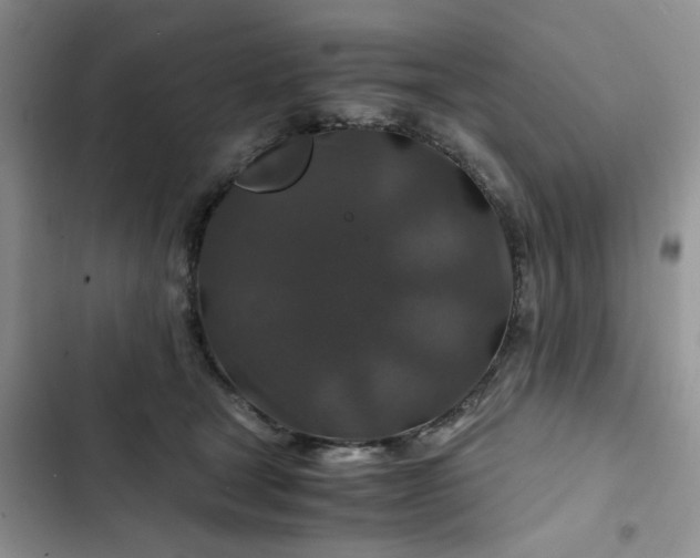 X0000102510465200808221821