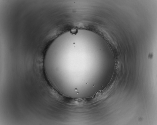 X0000102510466200808221821