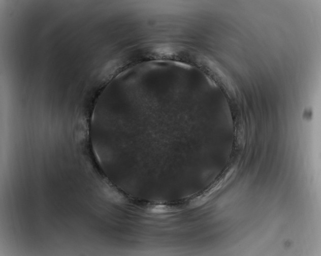 X0000102510467200808221821