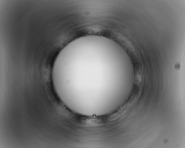 X0000102510468200808221821