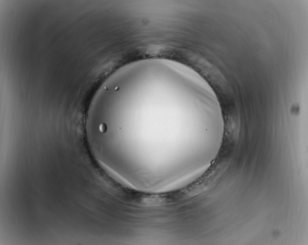 X0000102510470200808221821