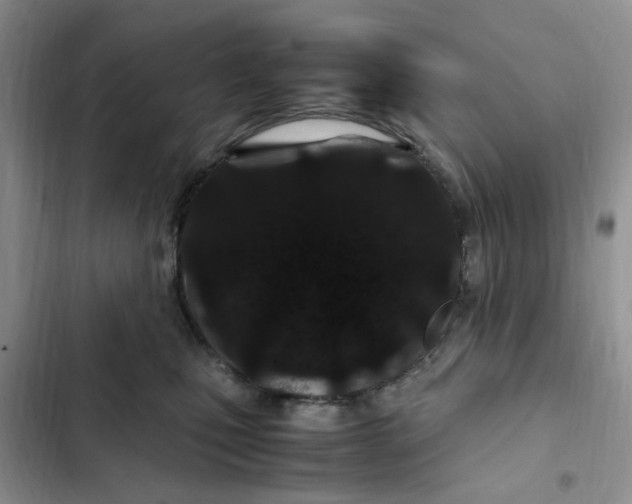 X0000102510471200808221821
