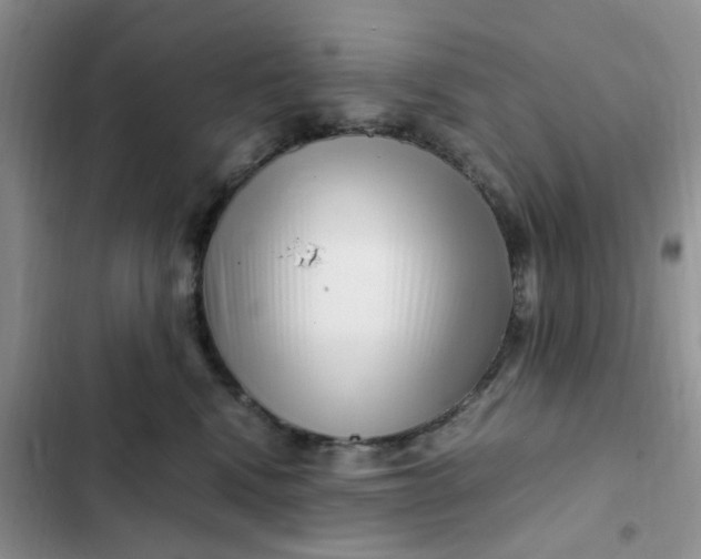 X0000102510472200808221821