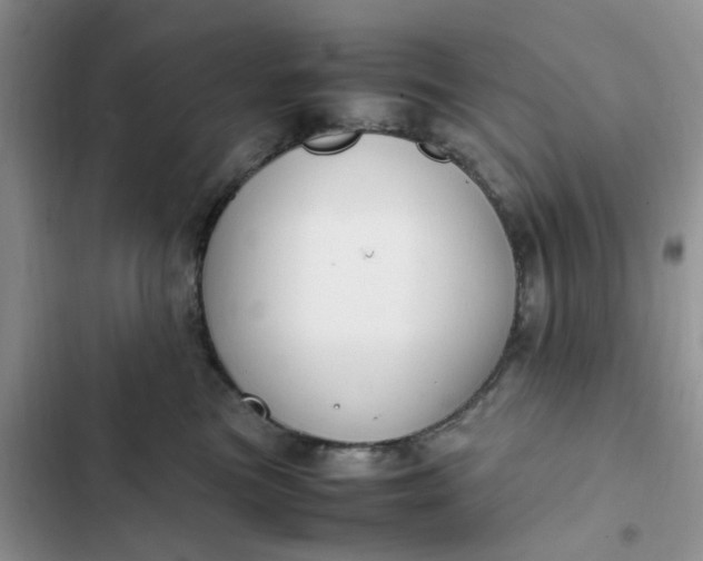 X0000102510473200808221821