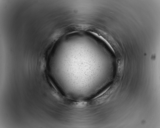 X0000102510474200808221821