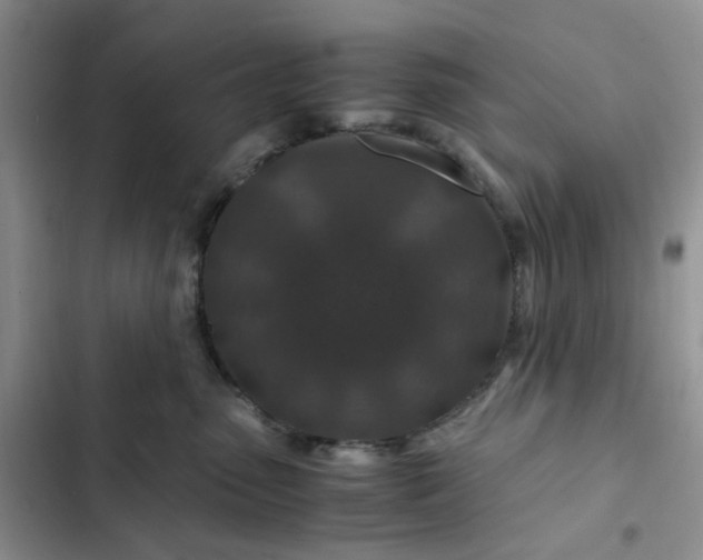 X0000102510475200808221821