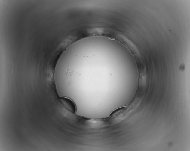 X0000102510477200808221821