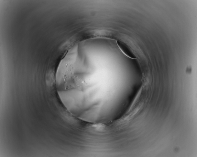 X0000102510478200808221821