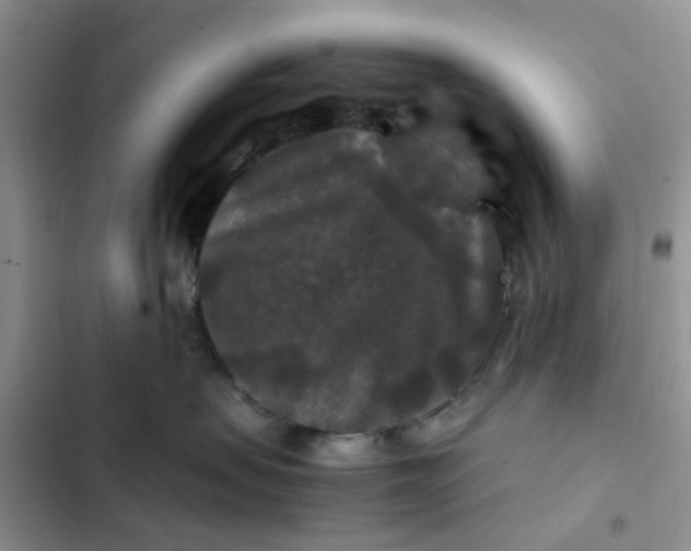 X0000102510479200808221821