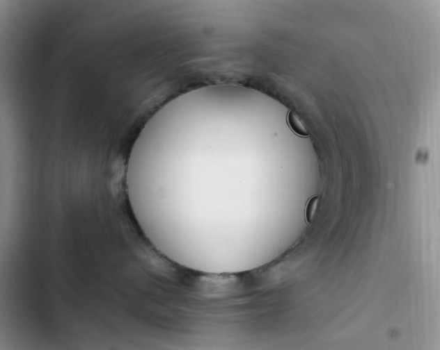 X0000102510480200808221821