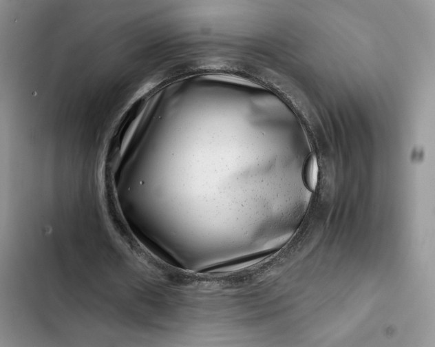 X0000102510482200808221821