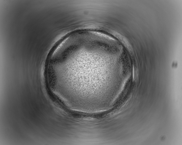 X0000102510483200808221821