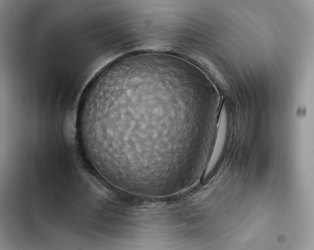 X0000102510484200808221821