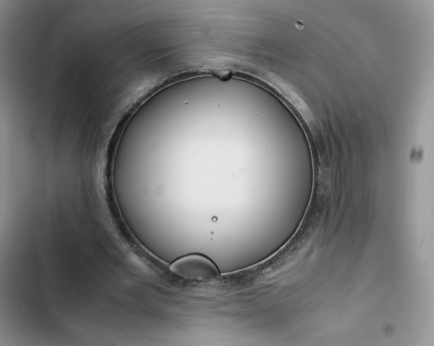 X0000102510485200808221821
