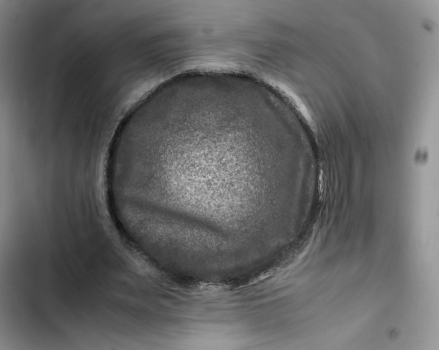 X0000102510487200808221821