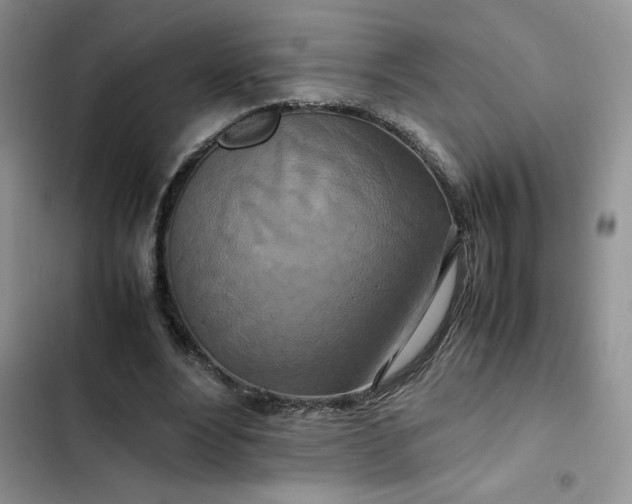 X0000102510488200808221821