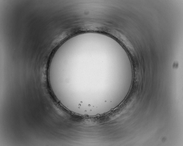 X0000102510489200808221821