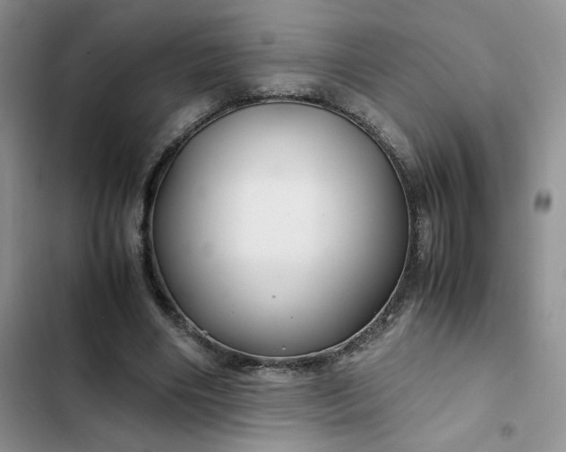 X0000102510490200808221821