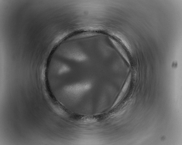 X0000102510491200808221821