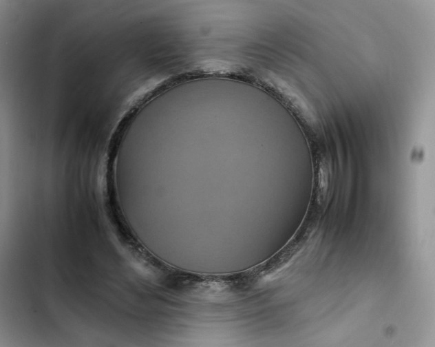 X0000102510492200808221821