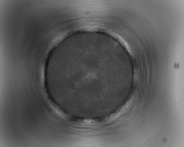 X0000102510493200808221821